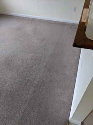 Carpet Cleaners Massachusetts