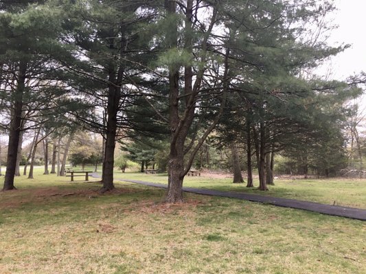 Paved walking path