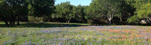 Beautiful Hill Country Views