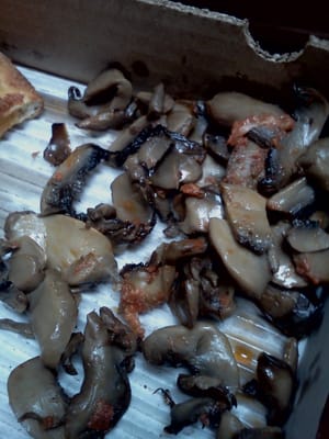 Disgusting canned mushrooms...lack of cheese proves they weren't even baked in, just thrown on top!!