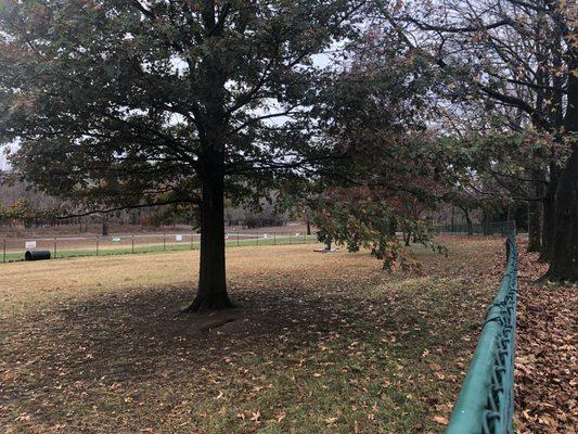 Fenced in dog park