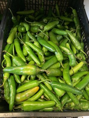 Green Peppers.