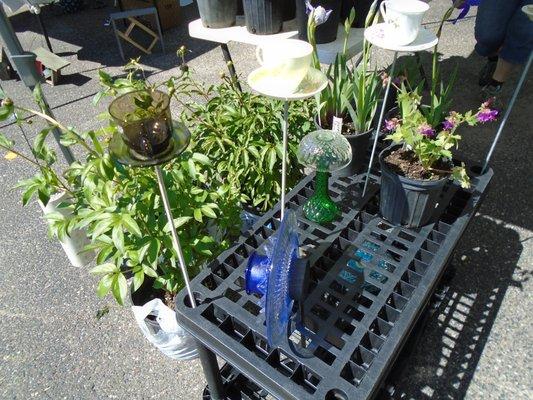 Live plants and some interesting bird feeders.