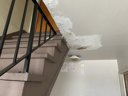 Past water damage on hall ceiling