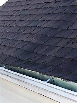 Damaged roof sheathing