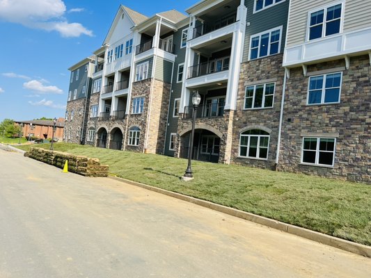 Sod installation