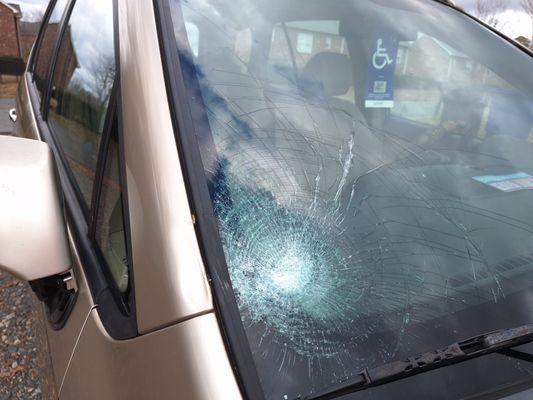 Windshield broken on front right side, deer ran out in front of me.