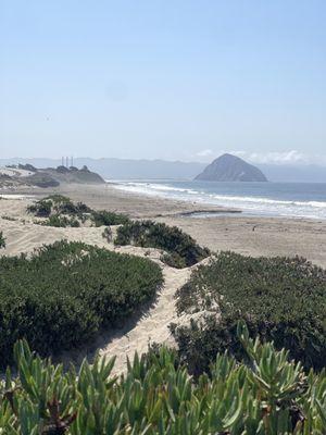 The beach for dogs. Just don't walk barefoot and here is why...