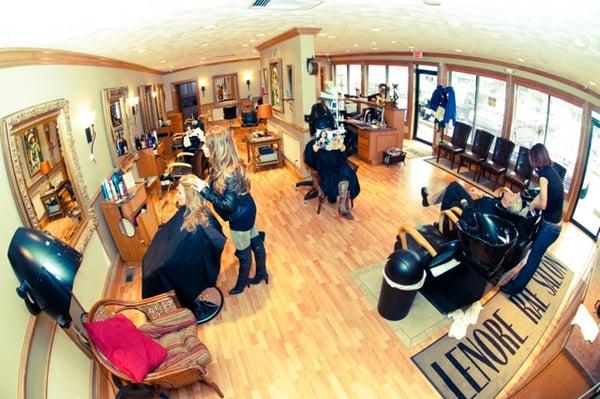 The beautiful salon!