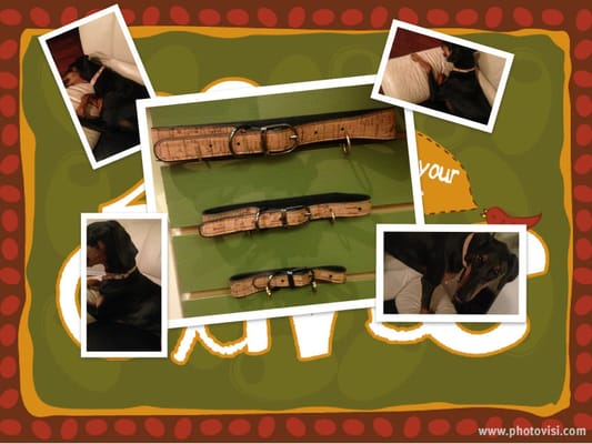 cork dog collars. available is 3 sizes for all our 4 legged friends.