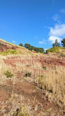 Pu'u o Lokuana Trail | Instagram: @telephonesmoothie