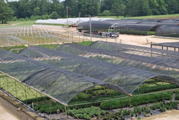 Shade Cloth