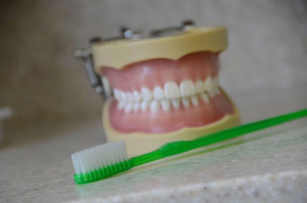 We use models to demonstrate proper brushing and flossing techniques.