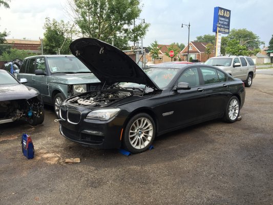 BMWs are our specialty!