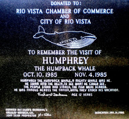 Humphrey The Whale Monument