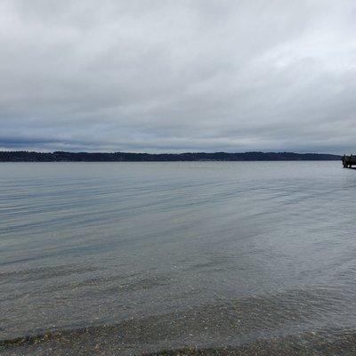 The Beach and the view at Dash Point Park and Pier.