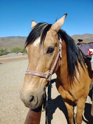 handsome Jesse before our ride