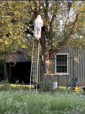 Kenny removing bird house/hive