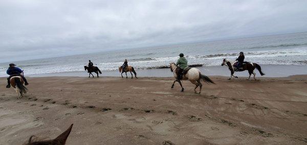 Yes....running on the beach at Wildcat...17 mile round trip ride using the scenic trails, instead of the more direct Steward trail.