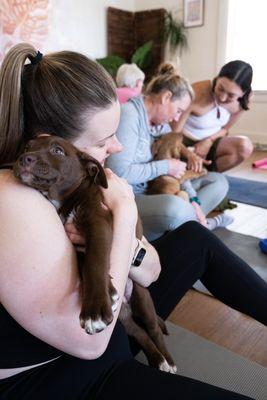 Puppy Yoga