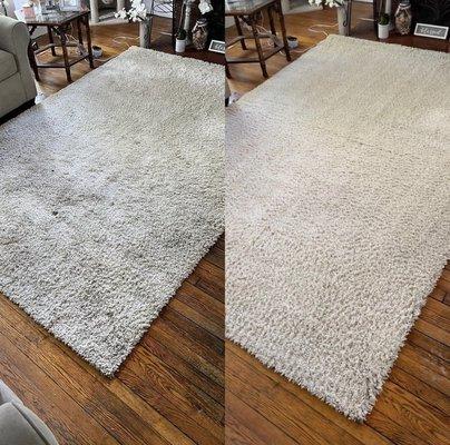 Regular Area Rug Cleaning