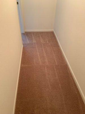 Clean carpets - like new again!