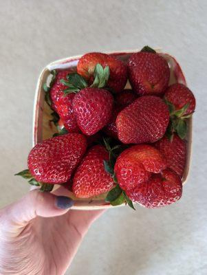 Beautiful Michigan strawberries!