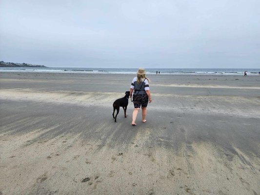 Shana and Robin are walking on the beach