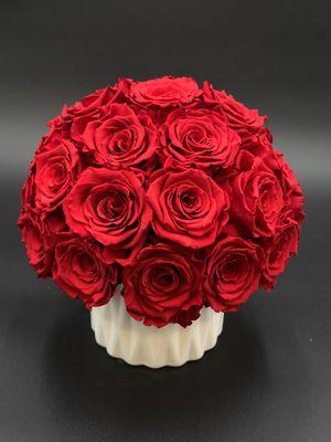 Red preserved roses in a  white vase