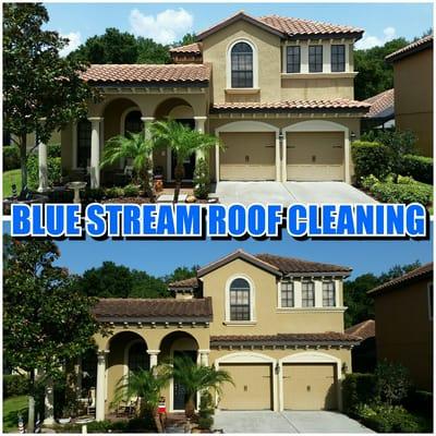 New Tampa Tile Roof cleaned by Blue Stream.