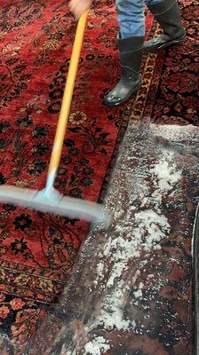 Rug cleaning