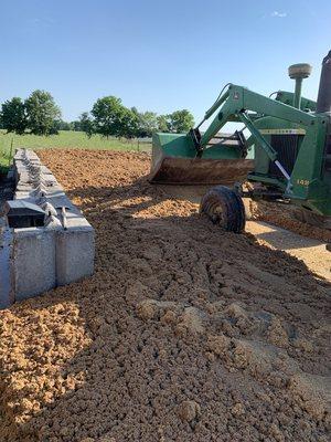 Feed for cattle - brewers grain (barley & wheat)