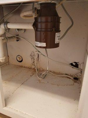 Water damage under sink