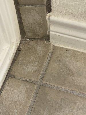 Dirt left after "deep clean"