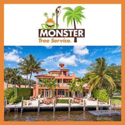 Monster Tree Service of Pinellas County