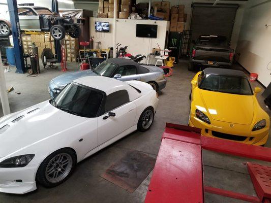 Ford Raptor, Ford Mustang Fastback, Track (White) S2000, Blue (Daily) S2000, Yellow (Auto Cross) S2000