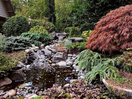 This is a water feature that we installed a few years ago and the plants we added grew in beautifully.