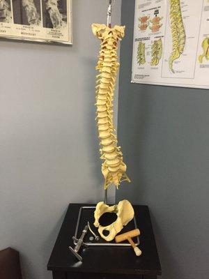 Tools like this guy help us educate you on spinal manipulation and enabling your body to heal.