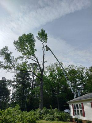 Look up in the sky ! It's a bird! It's a plane ! Nope it's State Tree Service to save the day!