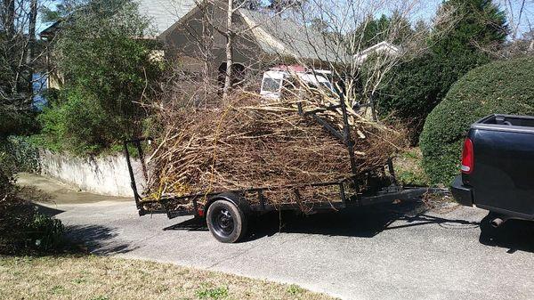 Tree pruning