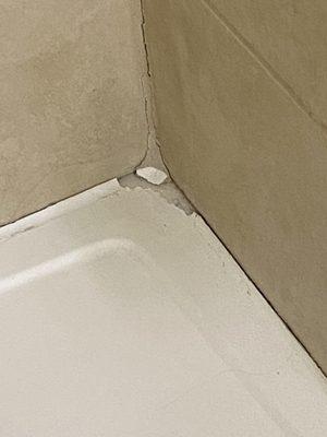 Tub in master bathroom is damaged.