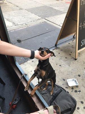 Boots was able to join for dinner... she was outside while we were at a table at the front of the restaurant. Love the open storefront.