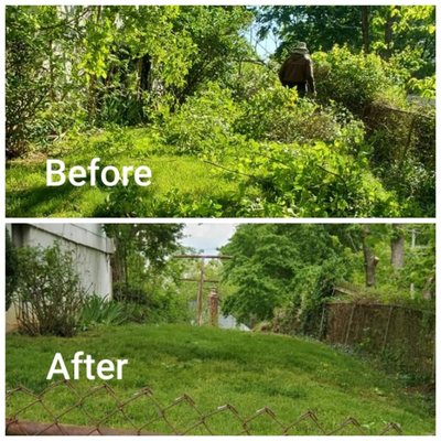 Side house yard cleaning