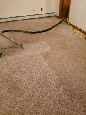 you can see the line down the middle of carpet thats how well my products and machine work