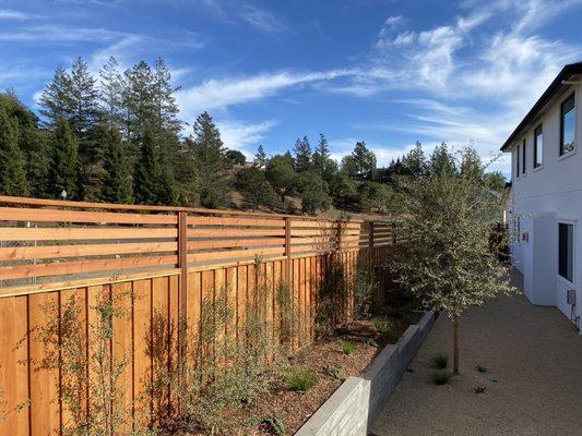 Fence, trees and shrubs, retaining wall, gravel ground cover