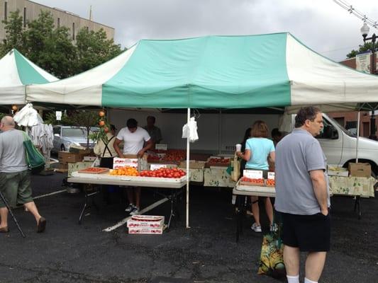 Asian pears, apples and all kinds of tomatoes