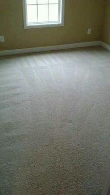 Stewart Carpet Cleaning