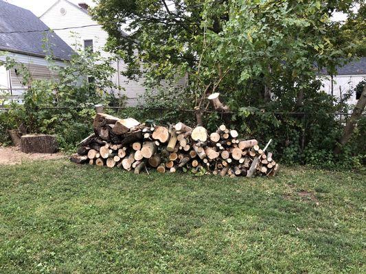 Wood, stacked up nicely, from Trees R Us