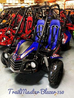 Go-Kart. New TrailMaster Blazer 150