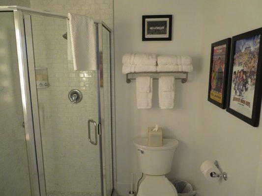 Celebrity Suite bathroom